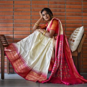 Kanchi with pochampalli pallu