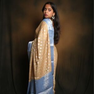 Shiffon with Banarasi Butta