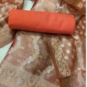 Banaras Salwar Suit