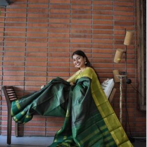 Kanchivaram Saree with Ganga Jamuna Border