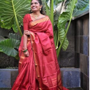 Kanchivaram Saree with Checks