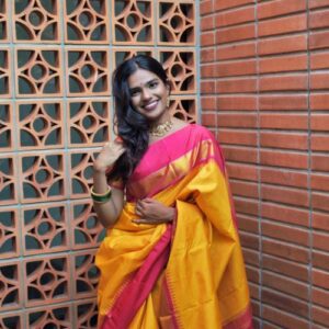 Kanchivaram sare with cheks contrast pallu borde