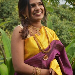 Kanchivaram sare with cheks contrast pallu border