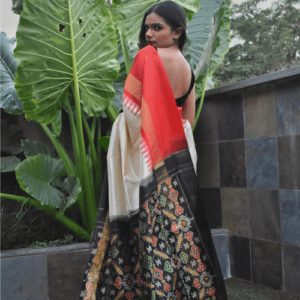 Pure handloom phochampalli saree