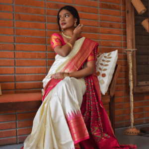 Pure Handloom phochampalli saree