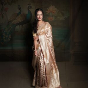Banarasi Tissue Saree