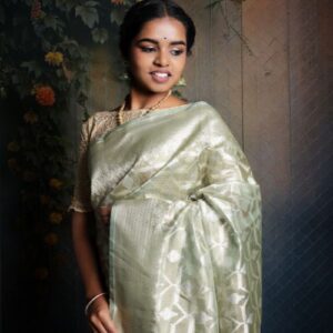 Banarasi Tissue Saree