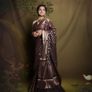 Banarasi Saree with Small Butta
