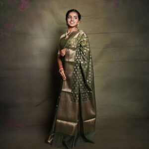 Banarasi Saree With Small Butta