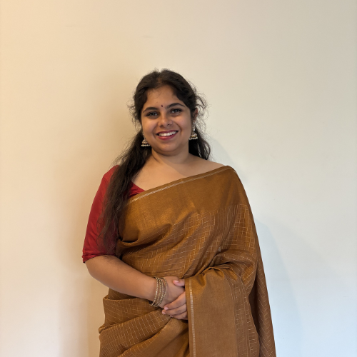 Rust Handloom Saree