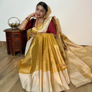 Gold & Silver Semi-Silk Saree